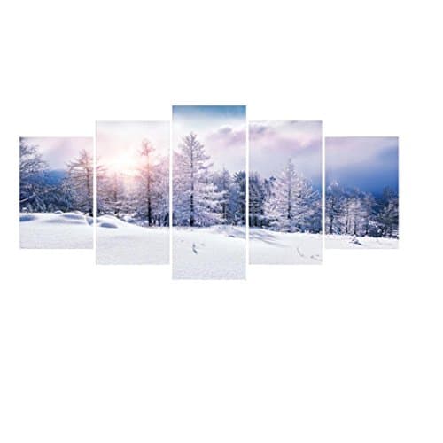 wyxhkj 5 Pcs HIgh Definition Printing PVC Painting Home Decoration Bedroom Wall Picture (D)