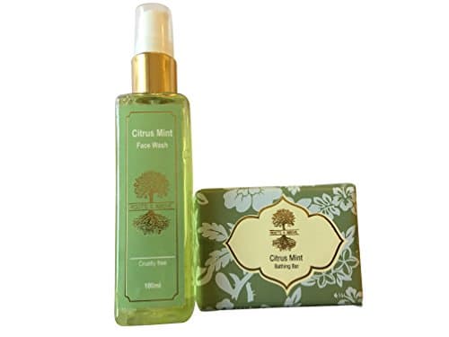 Roots &amp; Above Citrus Mint Glycerin Bathing Bar Soap (100g) And Citrus Mint Natural Facewash (100ml) Combo Pack of 2