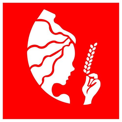 Pie Lane Decorative Wall Art Virgo Zodiac Plastic Stencils 1 Piece