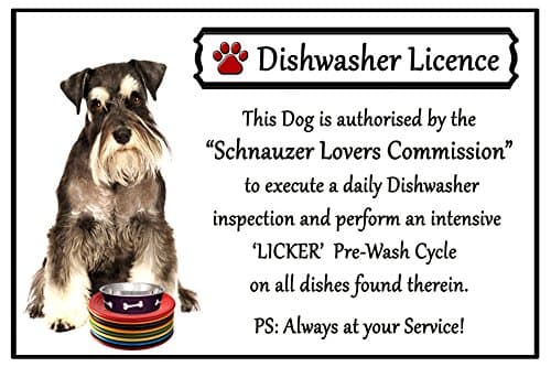 Miniature Schnauzer Lover Gift - Fun Dishwasher Licence Flexible 6" x 4" Magnet
