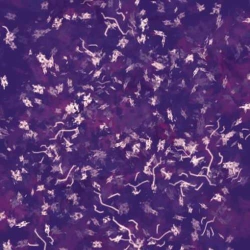 Nerchau Home Art Acrylic Varnish 100 ml, Assorted Colours, Acrylic Paint