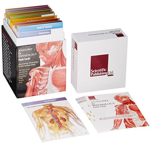 Bx-Anatomy & Physiology Flash Cards