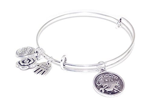 Girls Gift 12 Zodiac Signs Constellations Expandable Wire Bangle Astrology Cuff Bangle Bracelet, Capricorn