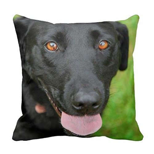 Black Lab Pillow Case