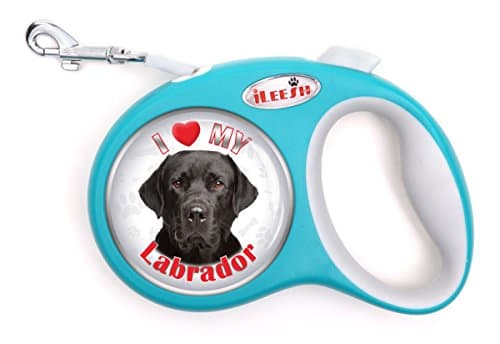 iLeesh i Love My Labrador Black Retriever Retractable Turquoise Leash