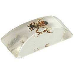 Fake Ice Cube with Bug