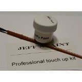 Nissan QAB Pearl White Touch up Kit