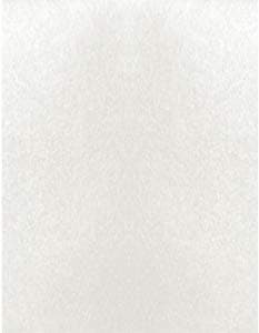 Curious Ice Silver (Snow) 111 lb. Cardstock Paper - 8.5 x 11 inch Cover - 25 Sheets