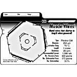 Flexinol 150LT Muscle Wire