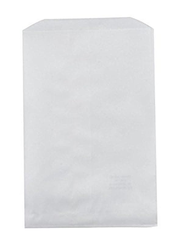 Ataqus 100 Pack White Kraft Paper Bags, 6" x 9" Inches, Gift Card, Gift Candy, Cookies, Doughnut, Crafts, Party Favor, Sandwich, Jewelry Merchandise