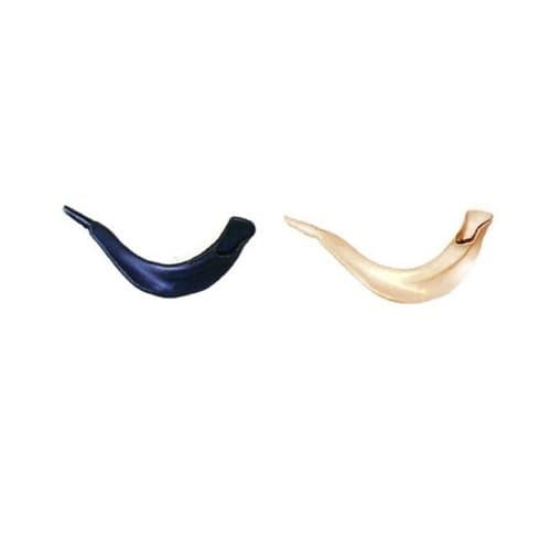 Real Looking Israeli Plastic Shofar 12"