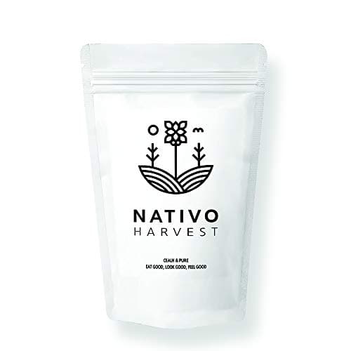 Chaga Mushroom 100% Pure Powder Natural Energy Boost Support Non GMO Bioactive, Vegan Best Superfoods Dietary Supplement for Healthy Immune Support, Powder (100 Grams)