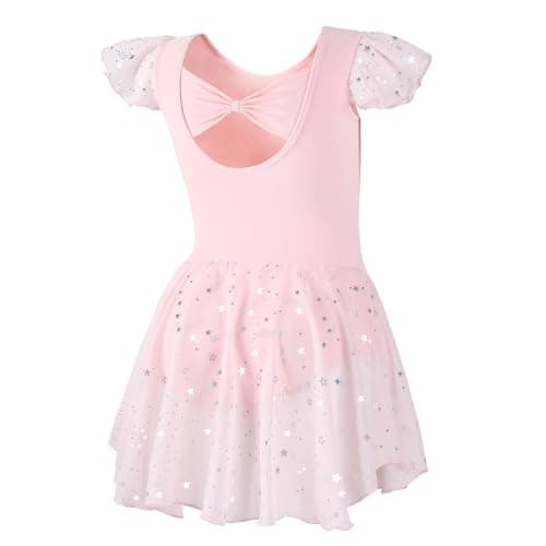 DIPUG Ballet Leotards for Girls Dance Leotard Toddler with Skirt Ballet Dress