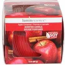 LUMINESSENCE Natural Soy Blend (3 oz.) Apple Cinnamon Scented Candle in Retail Boxed Glass Bowl