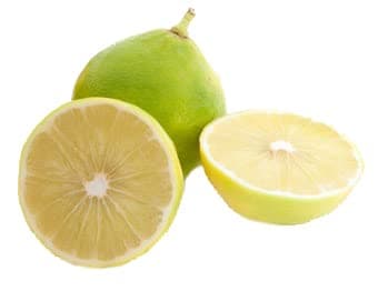 Fresh bergamot X3 - Exotic fruit - bergamotto fruit