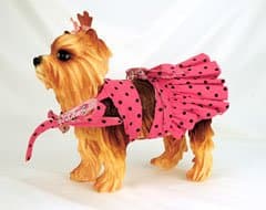 Pink Dog Bra and Mini Skirt (Small)