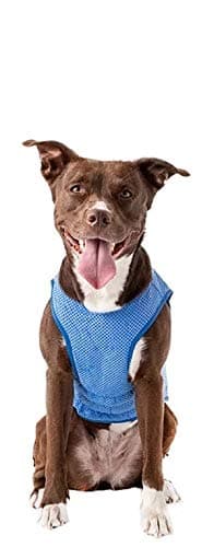GF Pet 79g68572 ELASTOFIT Cooling Vest, XXL, 240 g