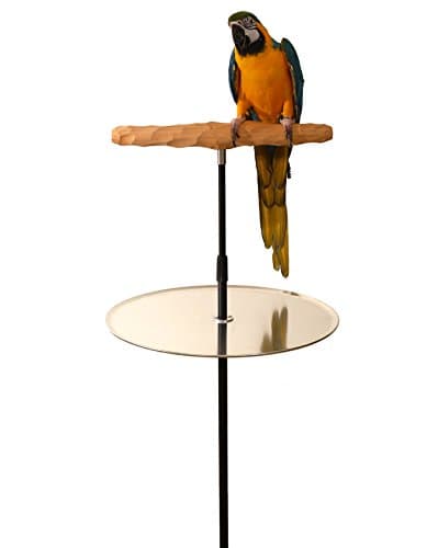 Parrot Training Perch Stand with Potty Tray (XL T Perch Hardwood)