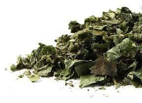 Bulk Herbs: Blackberry Leaf (Organic)