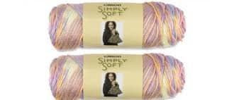 Bulk Buy: Caron Simply Soft Yarn Paints (2-pack) (Baby Brights)
