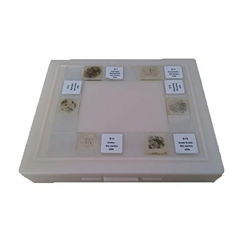 Higher Education Geological Research 100pcs/set Mineral Thin Section Prepared Slides