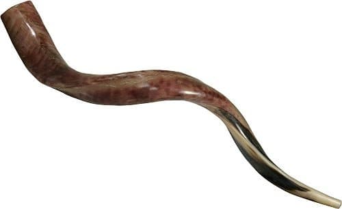 Jerusalem Shofar Kosher Yemenite Horn Instrument Natural Shoffar Shophar schofar Kudu Antelope Judaica