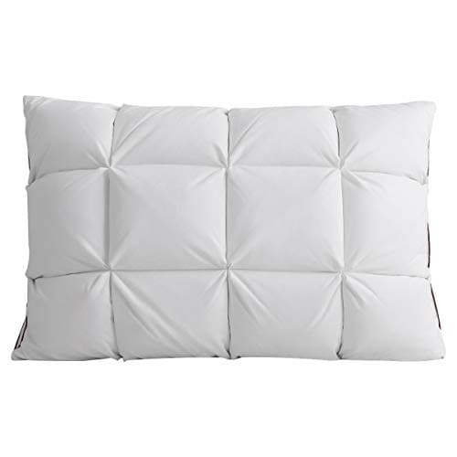 Peter Khanun Feather Pillow 3D Bread White Duck/Goose Down Feather Pillows for Sleeping,100% Cotton Standard Size 19"x 29" (Duck Down)