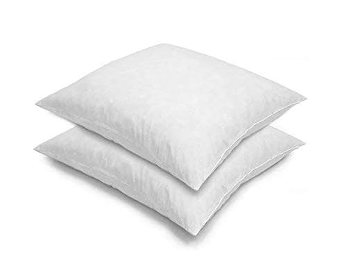 Blue Ridge Home Fashions, 26x26 Feather Euro (2 Pack),Hypoallergenic European Sleep Pillow Inserts Sham Square Form, 2 Count (Pack of 1), WhiteOEKO-TEX STANDARD 100