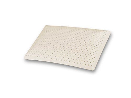 Dunlop Ventilated Natural Latex Pillow with Invisible Zipped Inner Cover(Firm)