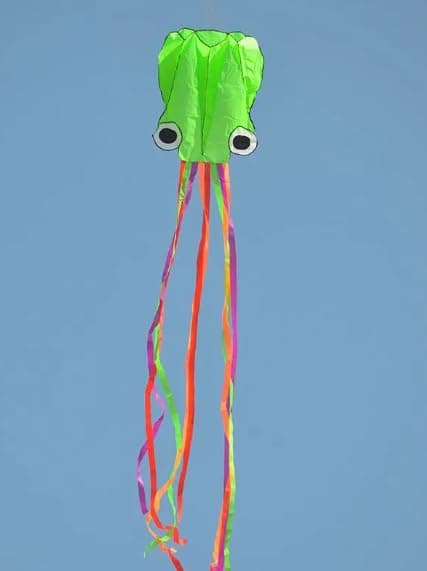 Flying Kite,Octopus Kite Outdoor Toys Flying Colorful Cartoon Octopus, Fly The Best for Everyone - Girls, Boys (Random Colors)