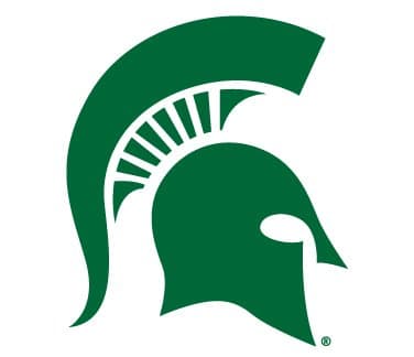 Michigan State Spartans HELMET LOGO Clear Vinyl Decal Car Truck Sticker MSU