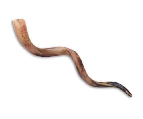 Jerusalem Shofar Kosher Yemenite Horn Polished Natural Showfar Schofar Chofar Jewish Rosh hashanah instrument