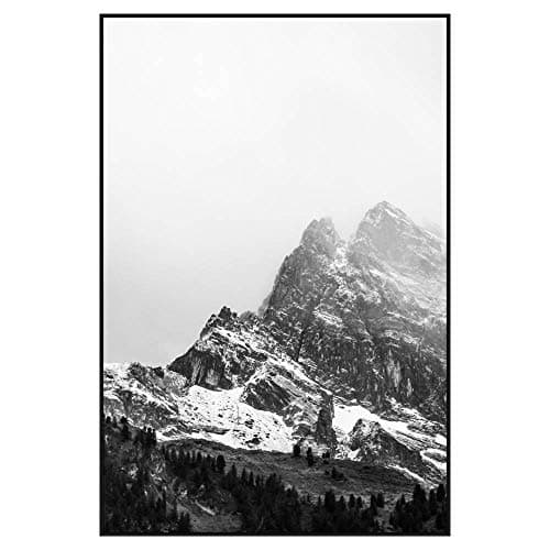 30 x 45 Satin Black Metal Frame (Ashford)