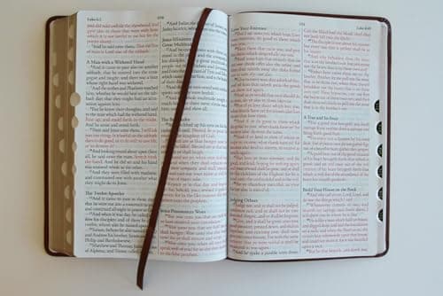 KJV Holy Bible, Giant Print Thinline Large format, Brown Premium Imitation Leather with Ribbon Marker, Red Letter, and Thumb Index