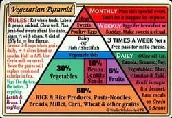 Helion Communications Vegetarian Food Pyramid Wallet Cards