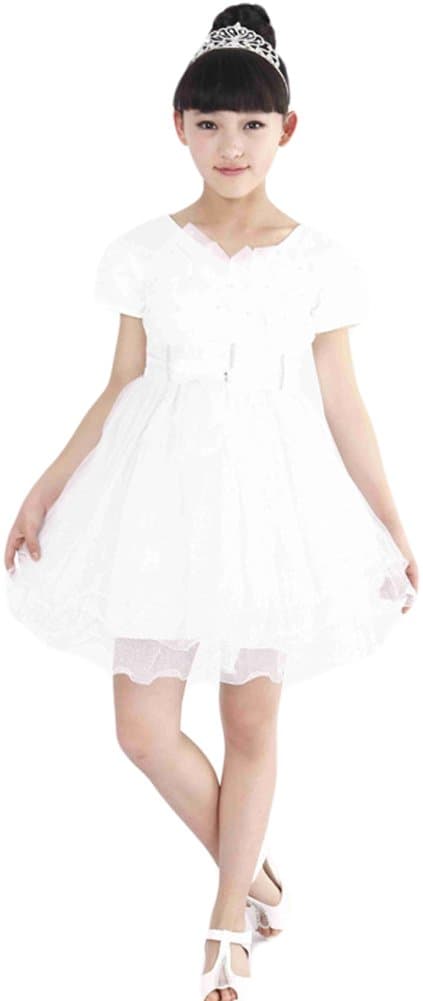 AvaCostume Girls Lovely Bowknot Gauze Dance Dresses, Latin Tutu