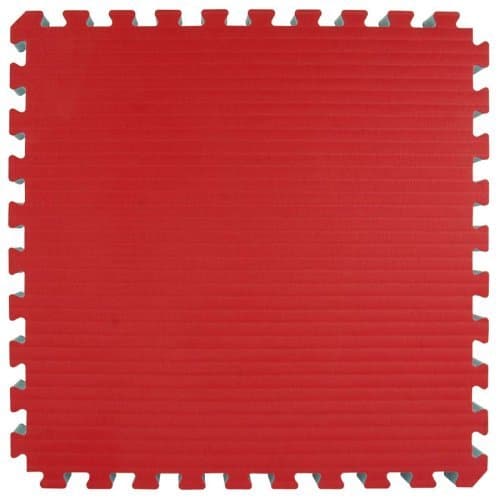 Greatmats Home MMA BJJ Mats 2x2 Ft (Red/Blue) by Greatmats