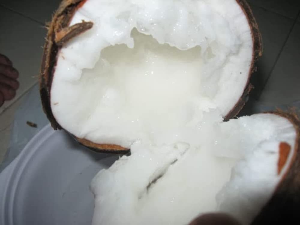 Floryn Decor 100% Pure Coconut Wax for Candle Making | Candle Make Raw Material (Pack of 1 Kg), White