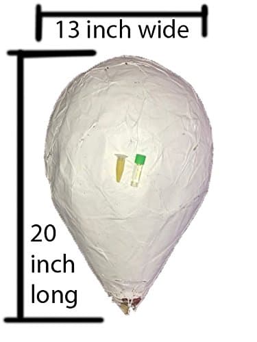 Old Doc'sHoney bee swarm bait hive with lure scents included