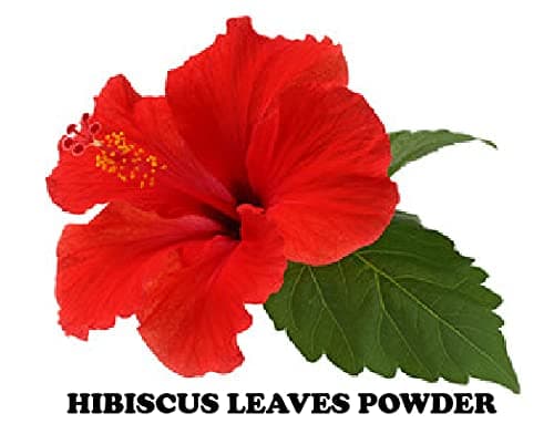 Hibiscus leaf powder for hair care-25G
