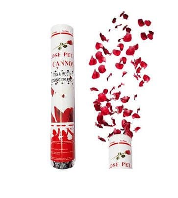 Masti Zone Artificial Rose Petals Flower Party Poppers (White)