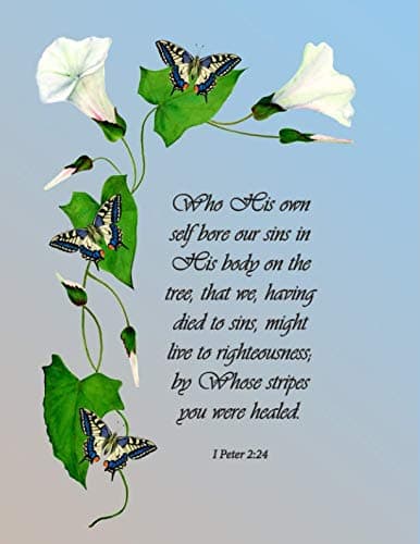 By Whose stripes you were healed. I Peter 2:24