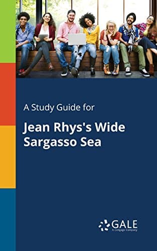 A Study Guide for Jean Rhys's Wide Sargasso Sea (Novels for Students) Kindle Edition