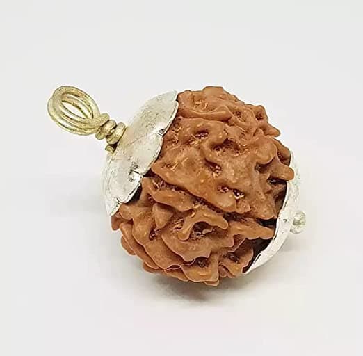 DeepMines Genuine 7 Mukhi Rudraksha Original Saat Mukhi Rudraksh Round Shap Nepal Beads सात मुखी रुद्राक्ष IGL Lab Tested Seven Face Real Rudraksha with Pendant Pure Silver सप्त मुखी रुद्राक्ष