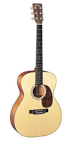 000-16GT 16- Series Natural, incl. Case