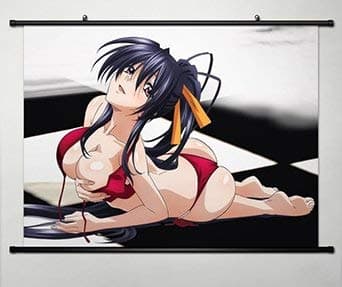 Wall Scroll Poster Fabric Painting For Anime High School DxD New Himejima Akeno 012