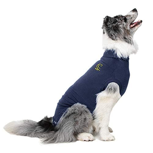 MPS Medical Pet Shirt for Dogs Medium Plus, Blue