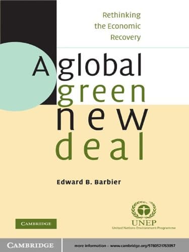 A Global Green New Deal: Rethinking the Economic Recovery