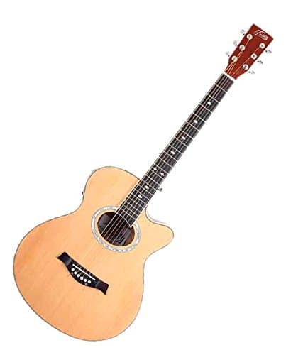 TrinityTNY-6000 Semi-Acoustic Guitar  TrinityTNY-5000 Acoustic Guitar