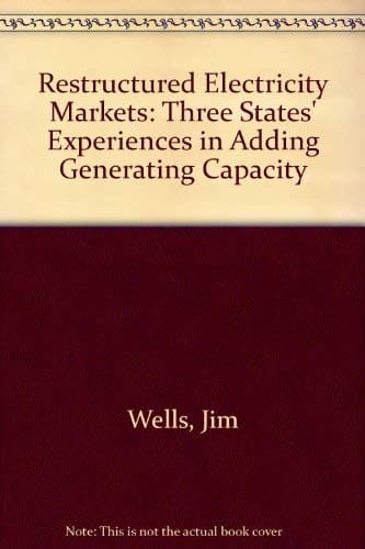 Restructured Electricity Markets: Three States' Experiences in Adding Generating Capacity